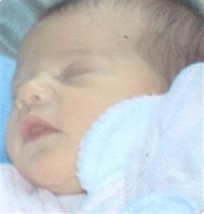 Photo 33767