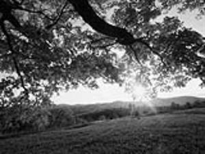 Photo 200531