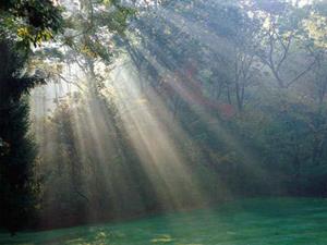 Photo 201042