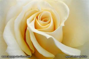 Photo 208310