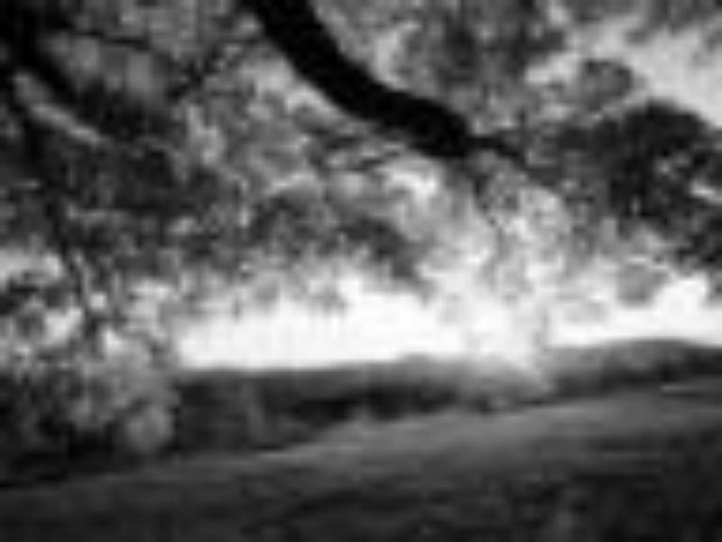 Photo 210760