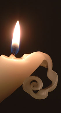 Photo 228476