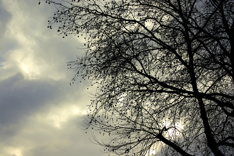 Photo 228592