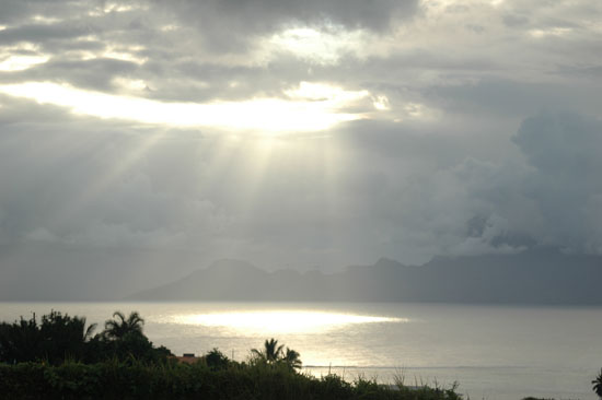 Photo 246633