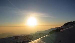 Photo 246831