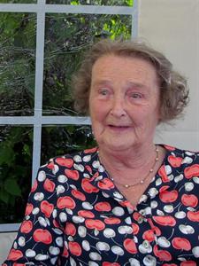 Photo 247217