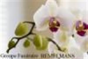 Photo 249387