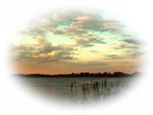 Photo 252227