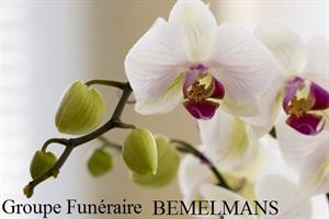 Photo 281592