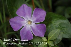 Photo 281593