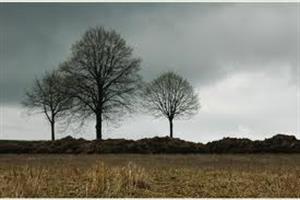Photo 282578