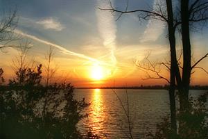 Photo 283712