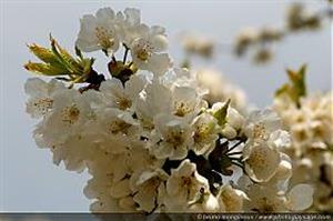 Photo 284332