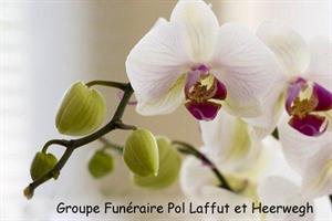 Photo 291573