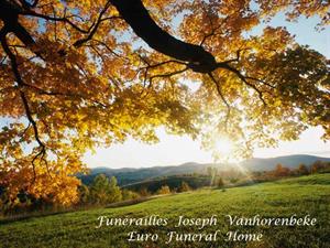 Photo 357332