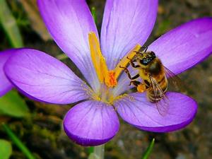 Photo 410841