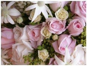 Photo 439963