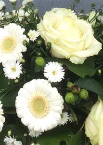 Photo 442621