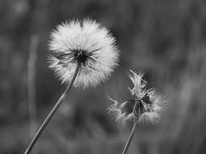 Photo 444716