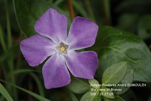 Photo 489927