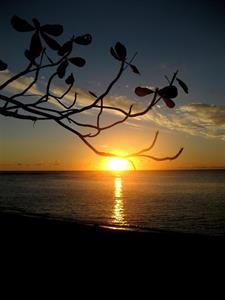 Photo 492390