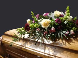 Photo 497697