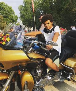 Photo 500711