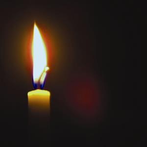 Photo 575813