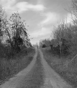 Photo 598446