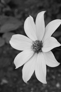 Photo 604019