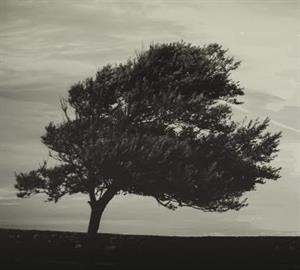 Photo 623771