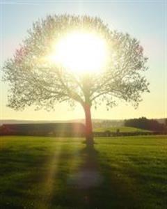 Photo 625763