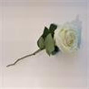 Photo 679442