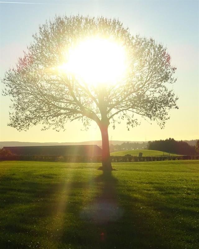 Photo 721723