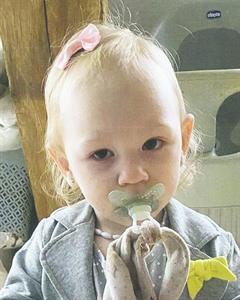 Photo 726739