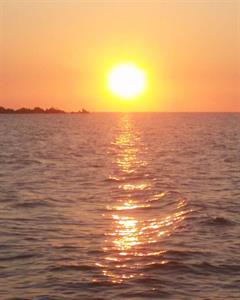 Photo 770890