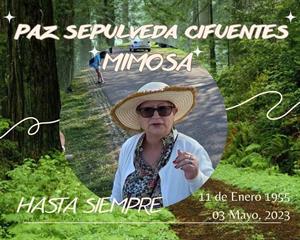 Photo 771762