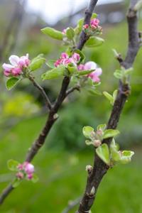 Photo 772004