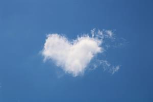 Photo 775351