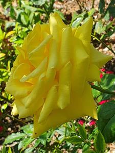 Photo 777886