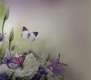 Photo 784837