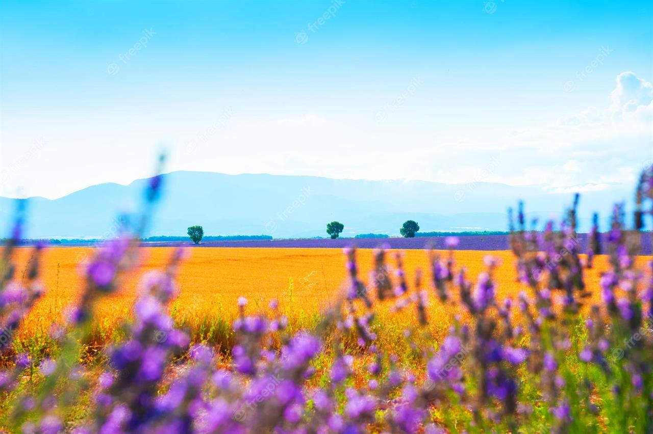 Décès de Madame Elise AUDURIER née MORIN (17 02 24)