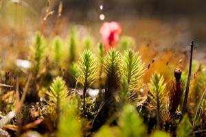 Photo 861873