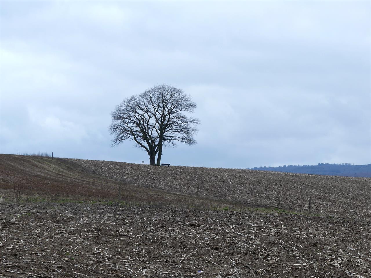 Photo 937061