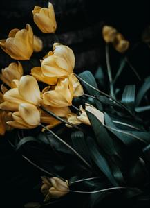 Photo 969717