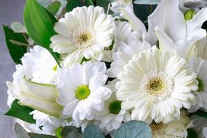 Photo 970944