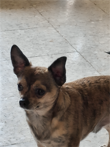 Photo 973033