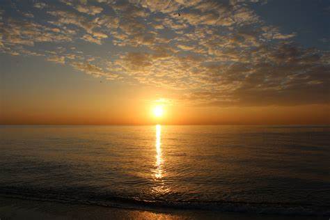Photo 977673