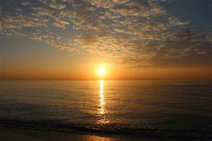 Photo 977673